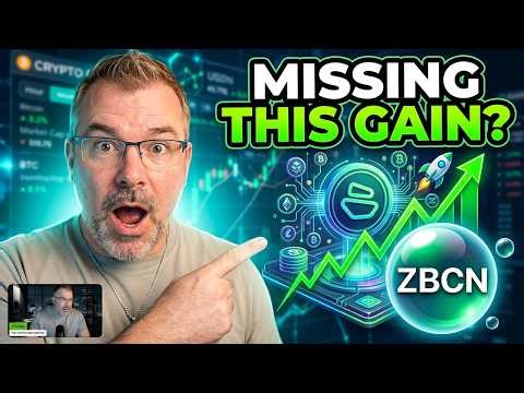 Zebec Dominance? Here's What You're Missing