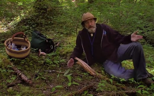 生肉 中英文字幕《奇妙真菌 .Fantastic.Fungi》