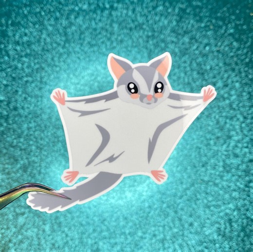 Flying Squirrel Sticker | Animal | Waterproof Vinyl Sticker - Etsy