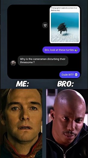 Turtle 🐢 Moment 💀#memes #dexters