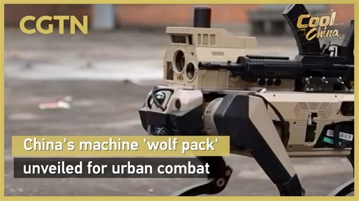 China's machine 'wolf pack'  unveiled for urban combat