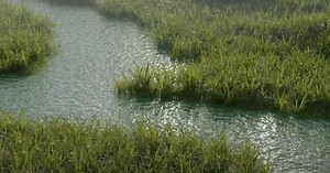 Grass field with Geometry Nodes in Blender