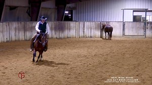 ♦️Real Mink Baybe♦️ (Metallic Rey Mink x Baybe Blue) Hip #2101 in the 2025 Western Bloodstock LTD. 2yo sale. 🎥 S. Sylvester Photography #WesternBloodstock #2yo #sale #MetallicReyMink #gastineaucuttinghorses | Gastineau Cutting Horses
