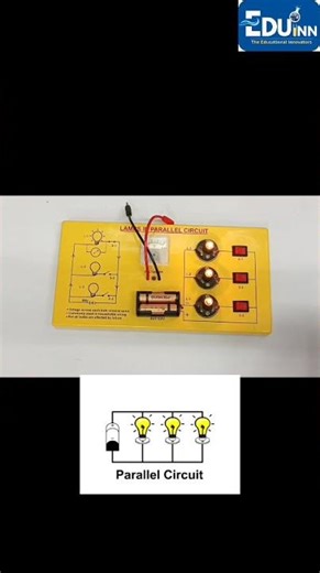 Lamps in PARALLEL CIRCUIT- 3D model explained