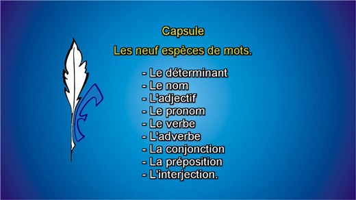 Prof Marcel Les neuf (9) espèces de mots.