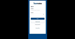 Download and run Teammates App on PC & Mac (Emulator)