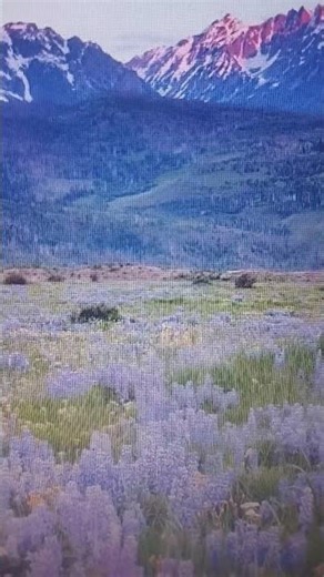 DESKTOP Background 1 #shorts