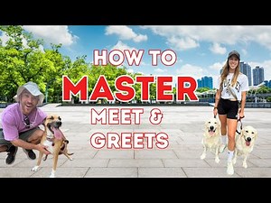 How To Master Meet & Greets As A Dog Walker & Pet Sitter | Build Trust & Book More Clients