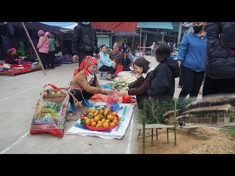 Single Mom Continues Her Pond House Project and Sells Fruits at the Rural Market
