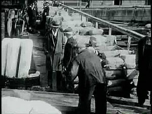 Malahat: Queen of the Rumrunners