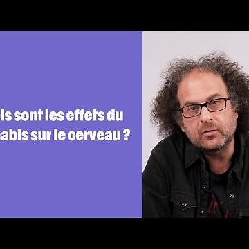 Quels sont les effets du cannabis sur le cerveau ?