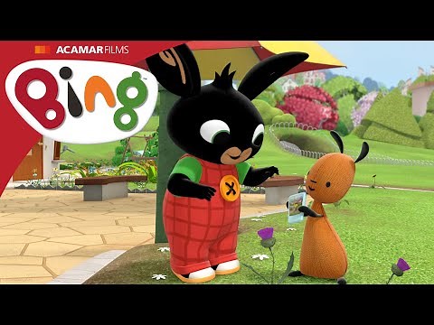 Gli esploratori della natura | Bing Episodio Completo | Bing Italiano