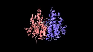 Crystal Structure Human Glutathione Transferase Gst Stock Footage Video (100% Royalty-free) 1076003186 | Shutterstock