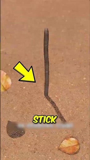 How to find direction with a stick and sun? Watch This