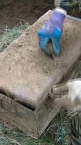 629K views · 2.2K reactions | A silent old man showed us the place in the forest where we should look | Archaeology Mysteries & UFO Sightings | Facebook