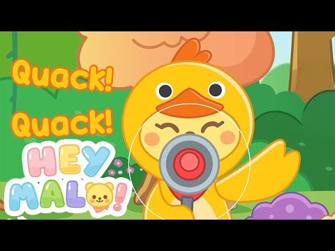 Five Little Ducks | Dance and Play | Hey Malo! Nursery Rhymes & Kids Songs