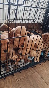 How I test windows pricing | Mtm Upvc Doctor