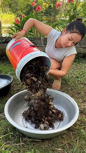 1.7M views · 9.7K reactions | How to cook crab recipe | DIY & get Crafty | Facebook