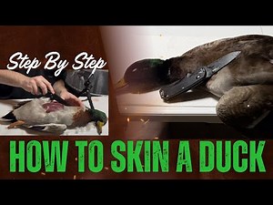 How To Clean a Duck | Duck Skinning Tutorial