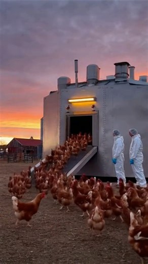 Futuristic Farm — Automated Operations Live 🐓 🤖