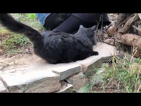 Drystack step - 2 over 1 and 1 over 2