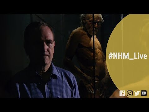 The Neanderthal within us with Chris Stringer | #NHM_Live