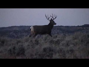 BookCliffs 2016 Full