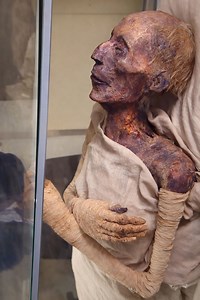 Greatness That Defies Time! 👑🇪🇬 Have you ever truly looked into the face of King Ramses II? This isn’t just a "mummy"; it is the living embodiment of one of history’s greatest leaders, who ruled Egypt for over 66 years. Why does this image always leave us in awe? Sharp Features: Look at the precision of the aquiline nose and the strong jawline... it’s as if the King is merely sleeping and could wake up at any moment! The Secret of the "Golden Hair": Although he passed away in his nineties, an