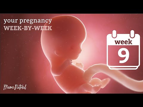 9 Weeks Pregnant - Natural Pregnancy Week-By-Week