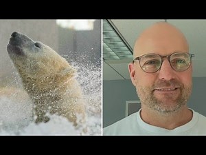 HEAT WAVE | How the Toronto Zoo is keeping animals cool amid this heat wave