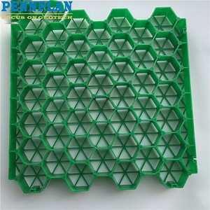 [Hot Item] Plastic Recyclable Grass Grid Paver Landscape Turf Driveway Grid Paver