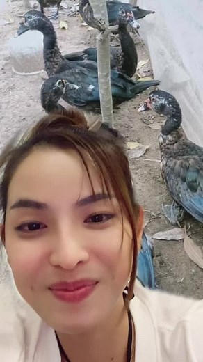 Leam Sreyhi នៅលើ TikTok