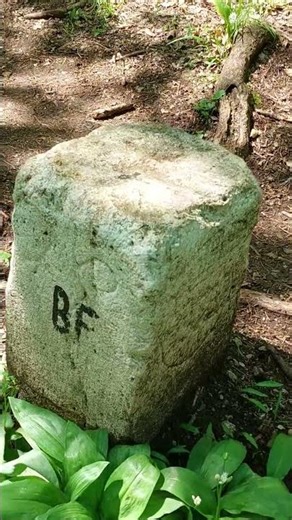 What Does "BF" Mean? If YOU Know It, Leave A Friendly Comment :-)