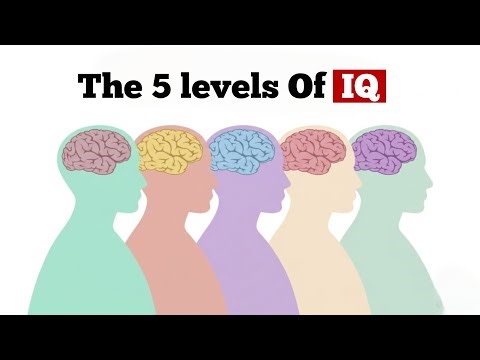 The 5 Levels Of IQ : The 5th One Is Rarest (Psychology Explains)