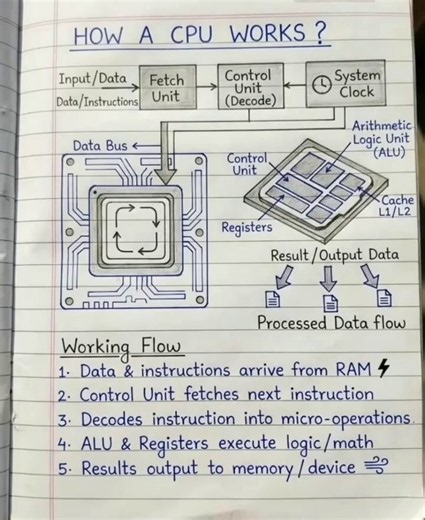 The Ultimate Guide to Computer Hardware.