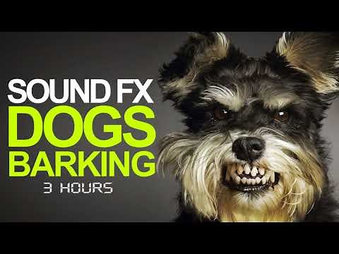 DOG BARKING | Sound Effect [High Quality] 3 Hours of Barking Dogs