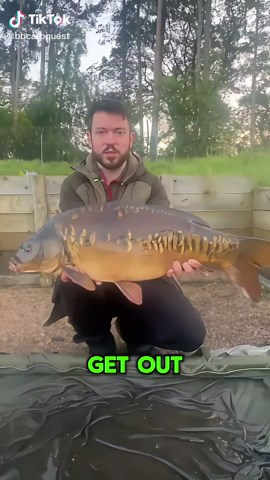 Understanding Bite Time for Carp Fishing