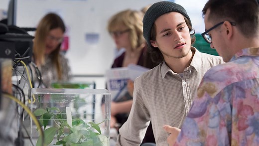 Animal Behaviour MRes at the University of Sussex