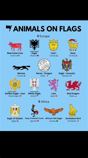 Animals on National Flags 🐉🦅🐄 | World Flag Facts