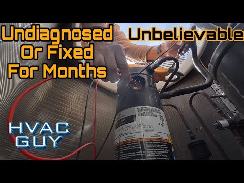 Visiting Apartments After Years Of Severe Neglect!