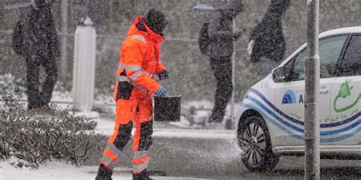 To clear ice and snow, there are rock salt alternatives that are safer for your pets and yard