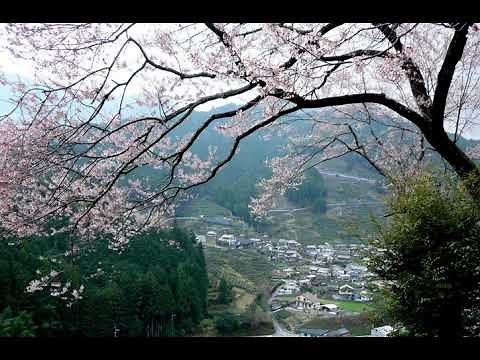 さわやか自然百景(オカリナ)