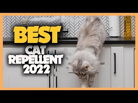Top 10 Best Cat Repellents 2022 Picks