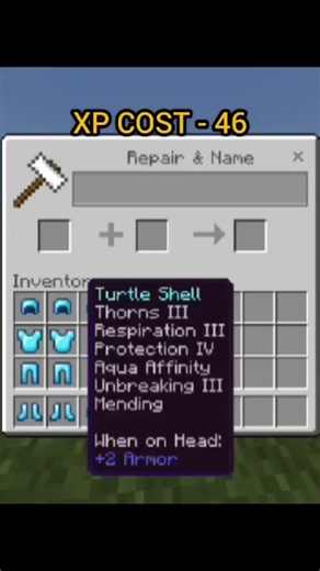 How to Max Enchant a Turtle Shell (Least XP) | Ep. 6