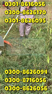 1.5K reactions · 72 shares | Brush Cutter Machine | Mini Harvesting...
