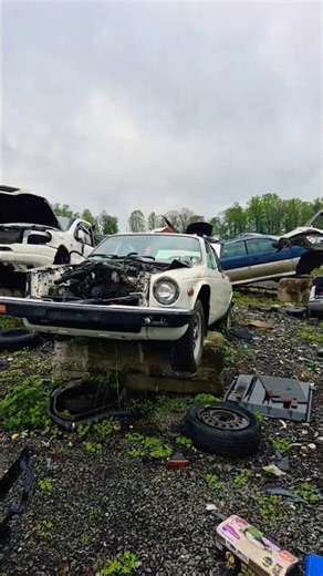 Clean Jaguar XJ6 Junkyard Find #junkyard #abandoned #automobile #cartok #1980s #jaguar