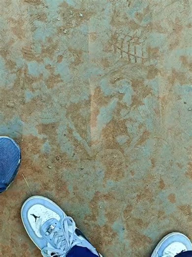 Exploring the Performance of the REDMI K80 Beast