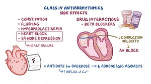 Video: Class IV antiarrhythmics: Calcium channel blockers and others - Video Explanation! | Osmosis | Osmosis