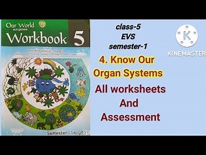 class-5#EVS#Lesson-4#semester-1#4.Know our organ system#All worksheets#Assessment