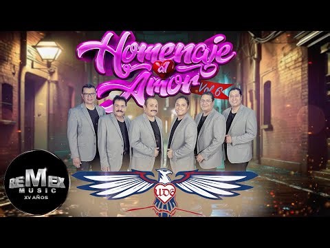 UD6 - Homenaje Al Amor Vol. 6 (Video Oficial)